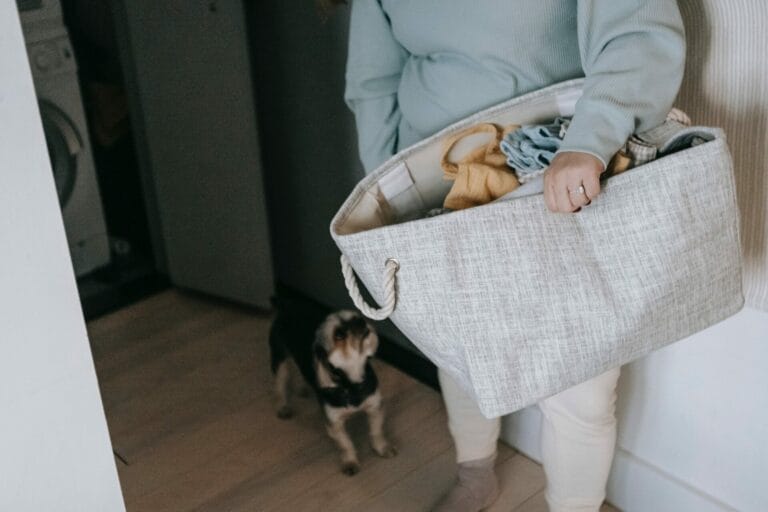 Mulher com cesto de roupas e cachorro observando